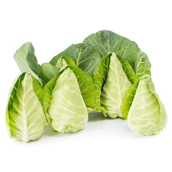 justseed3107759