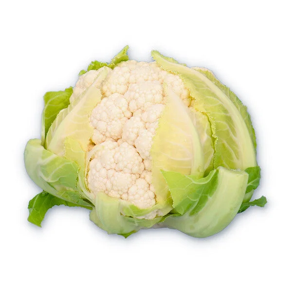 justseed3107841