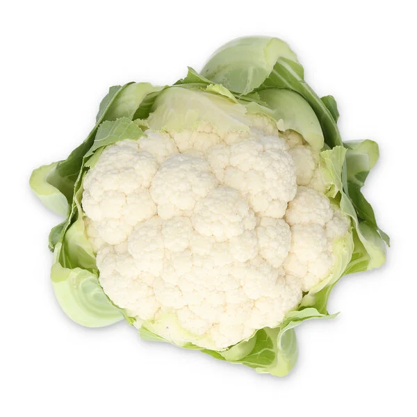justseed3107984