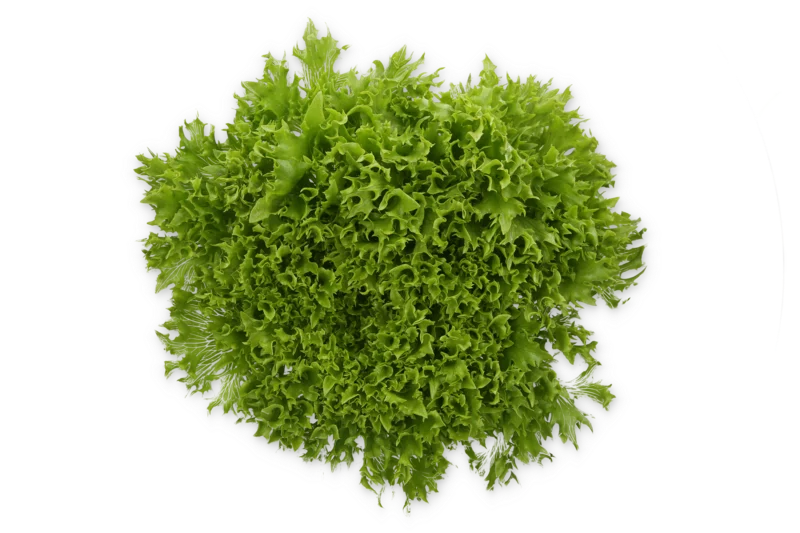 justseed3108018