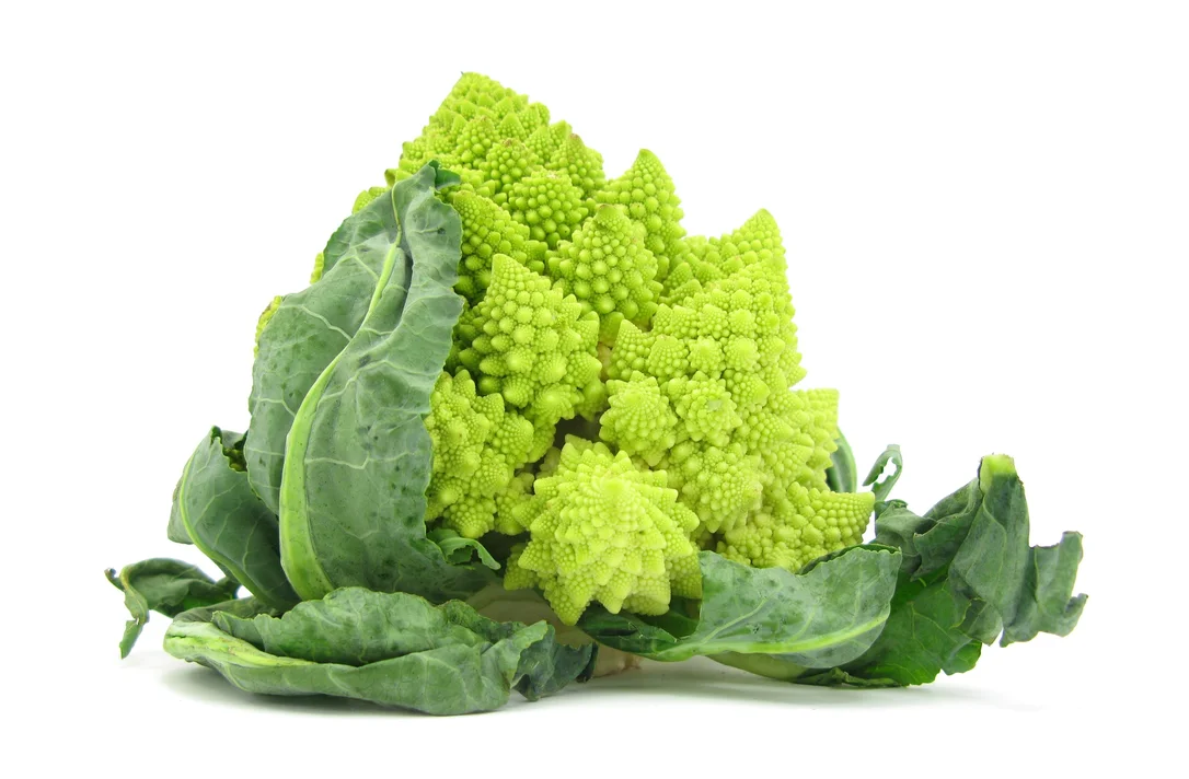 justseed3123028