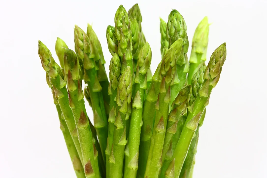 justseed3124059