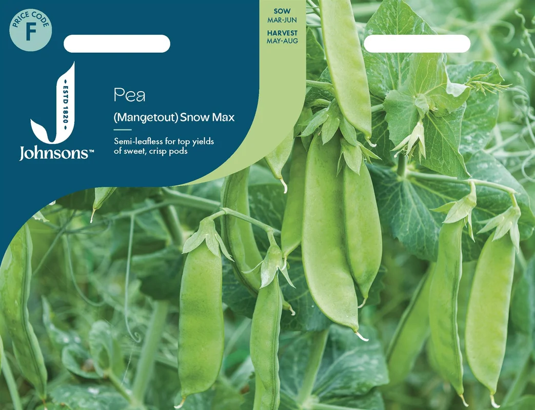 justseed3129187