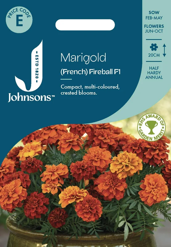 justseed3130765