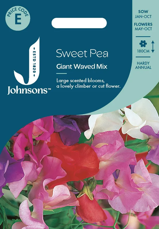 justseed3133067
