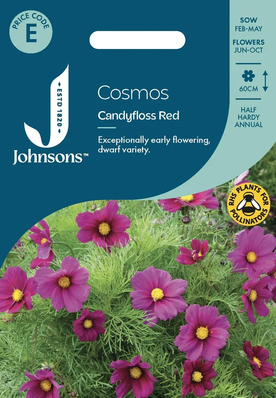 justseed3135531