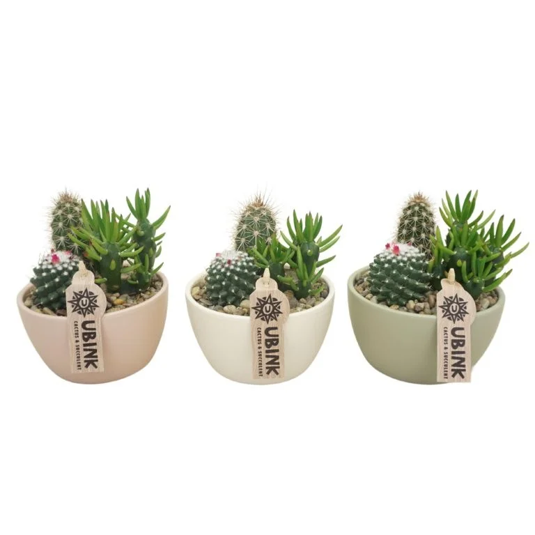 littleshopofhorrors2980077