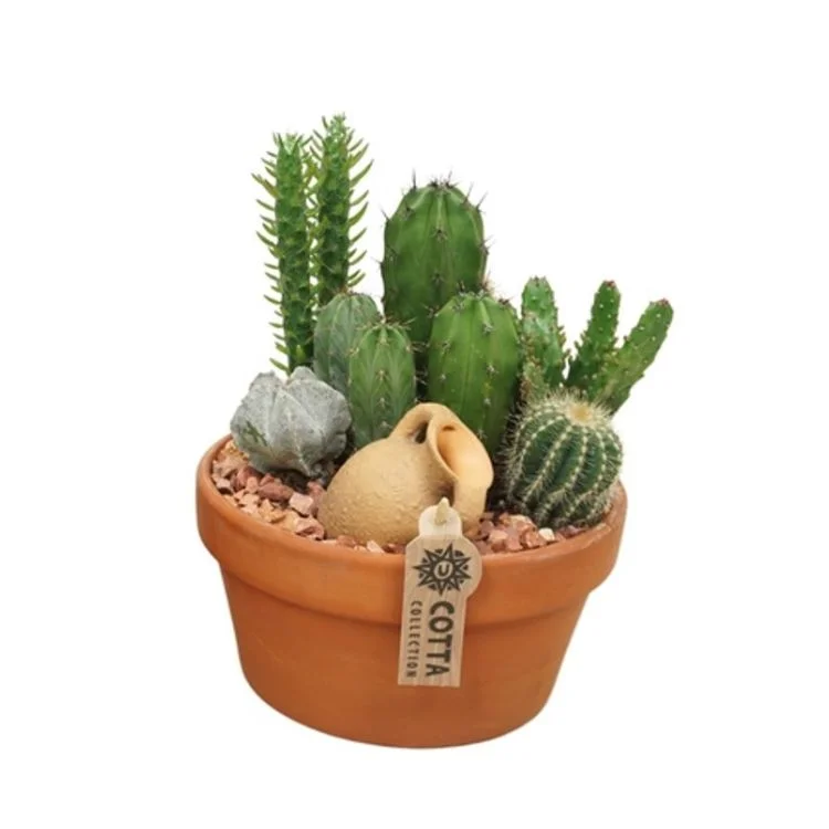 littleshopofhorrors2980151