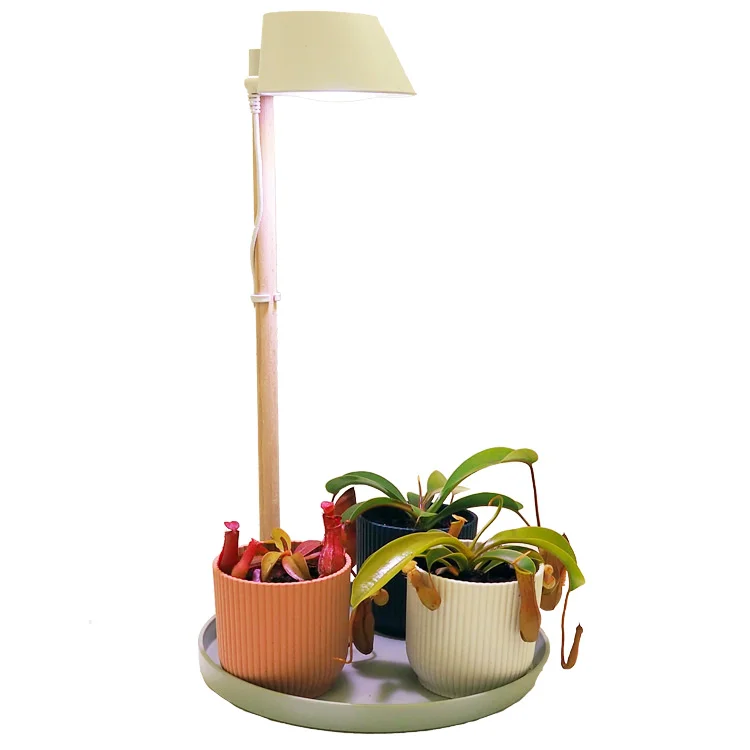 littleshopofhorrors2981749