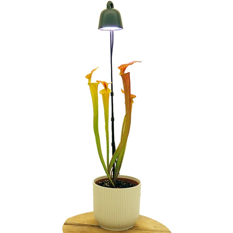 littleshopofhorrors2983460