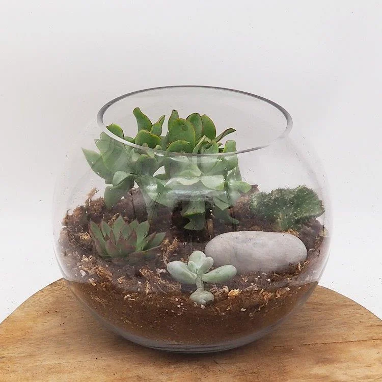 littleshopofhorrors2988353