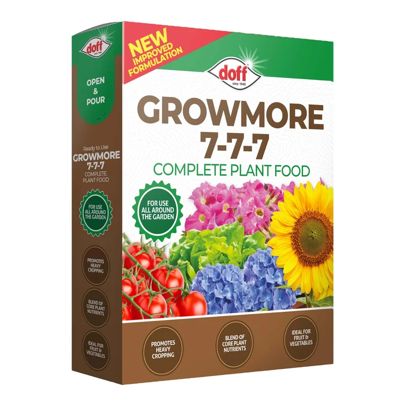 livemoor4419442