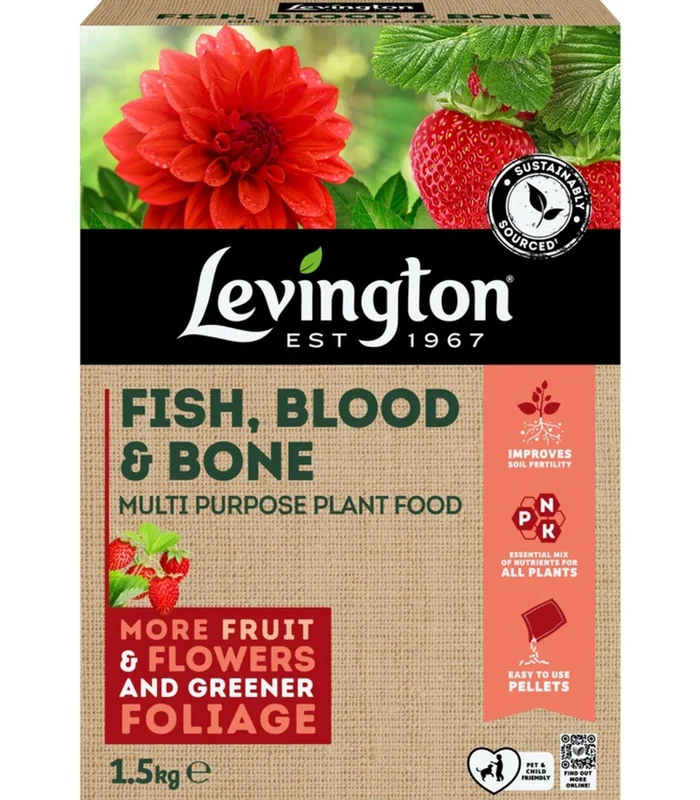 livemoor4425990