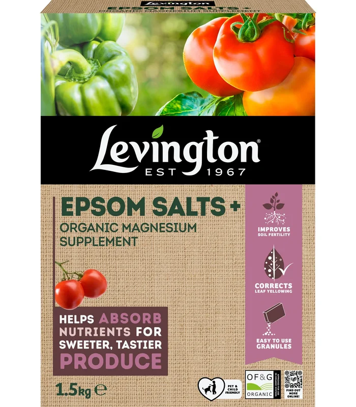 livemoor4426067