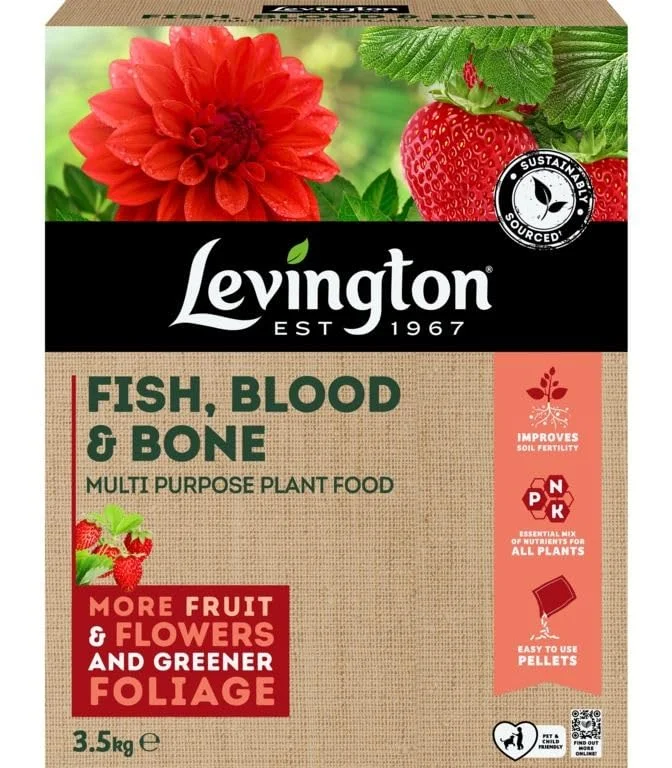 livemoor4426110