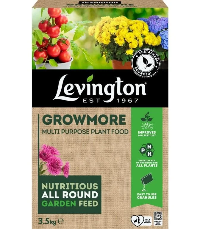 livemoor4449046