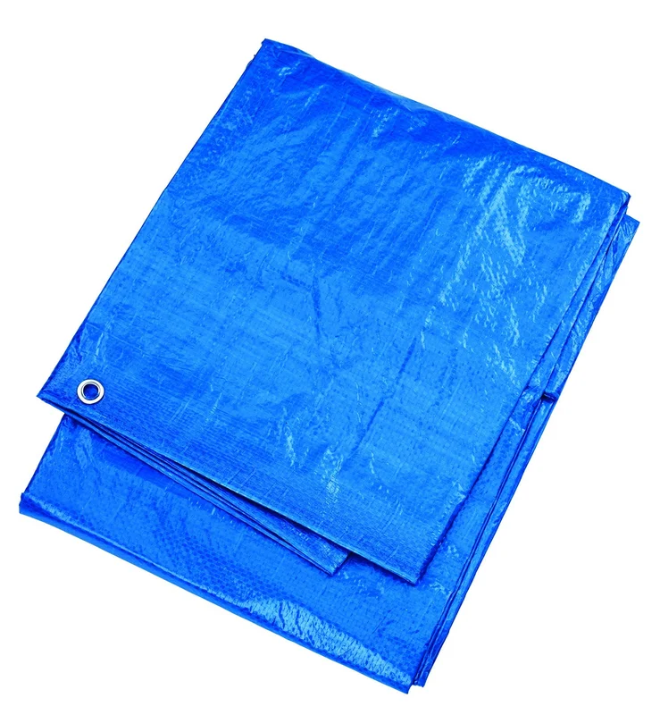 livemoor4489939