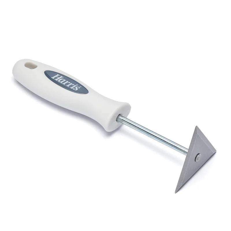 livemoor4490027