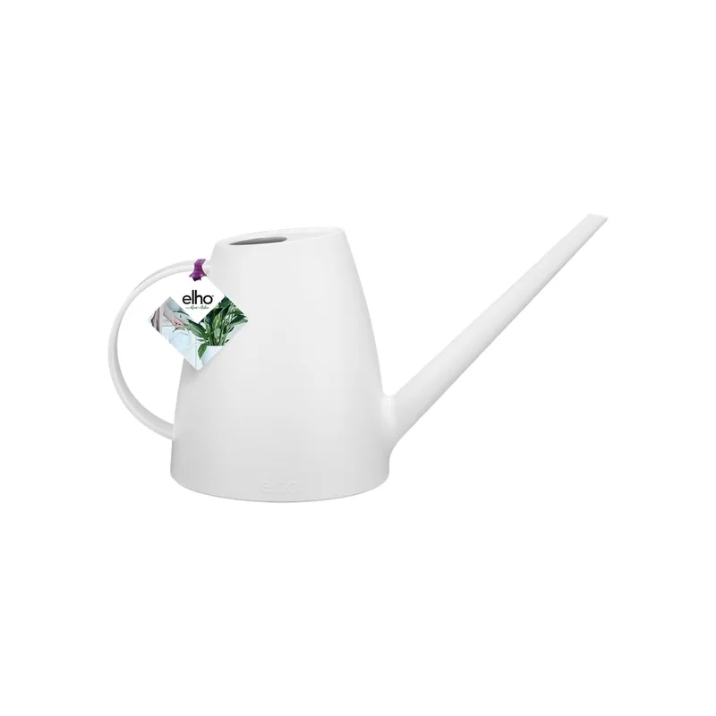 livemoor4492000