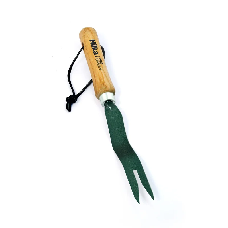 livemoor4500831