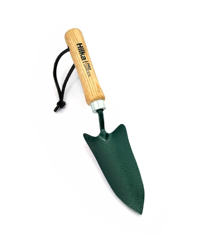 livemoor4500850