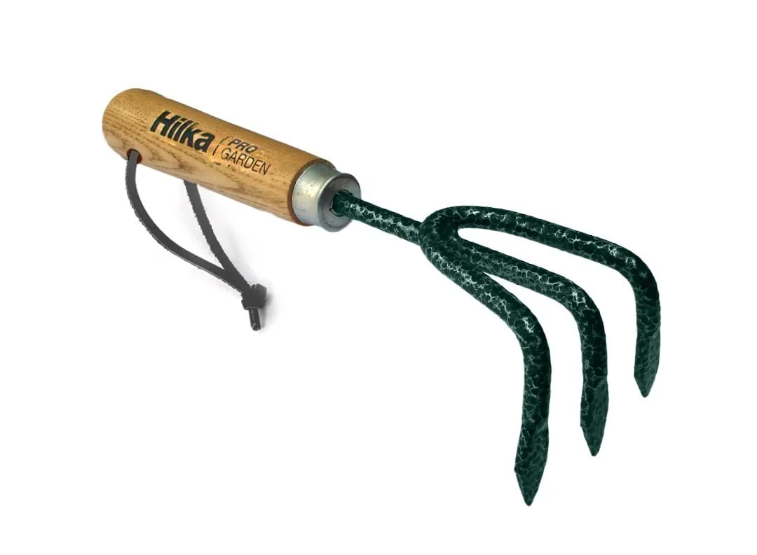 livemoor4500862