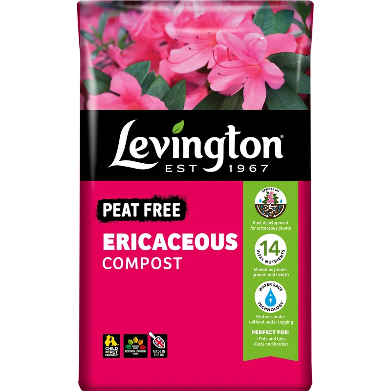 livemoor4516172