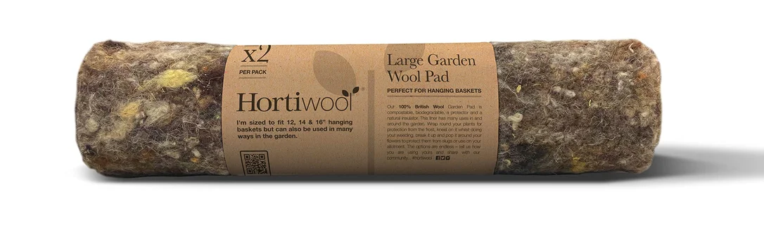 livemoor4516502