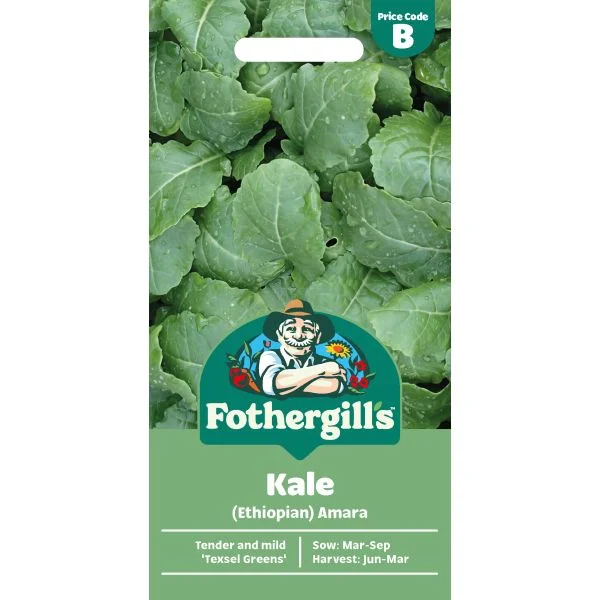 mr-fothergills2981247