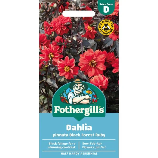 mr-fothergills2999769
