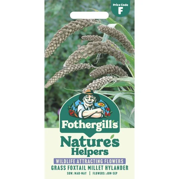 mr-fothergills3011728