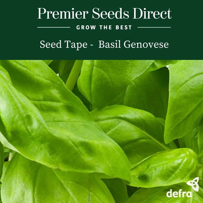 premierseedsdirect2934159