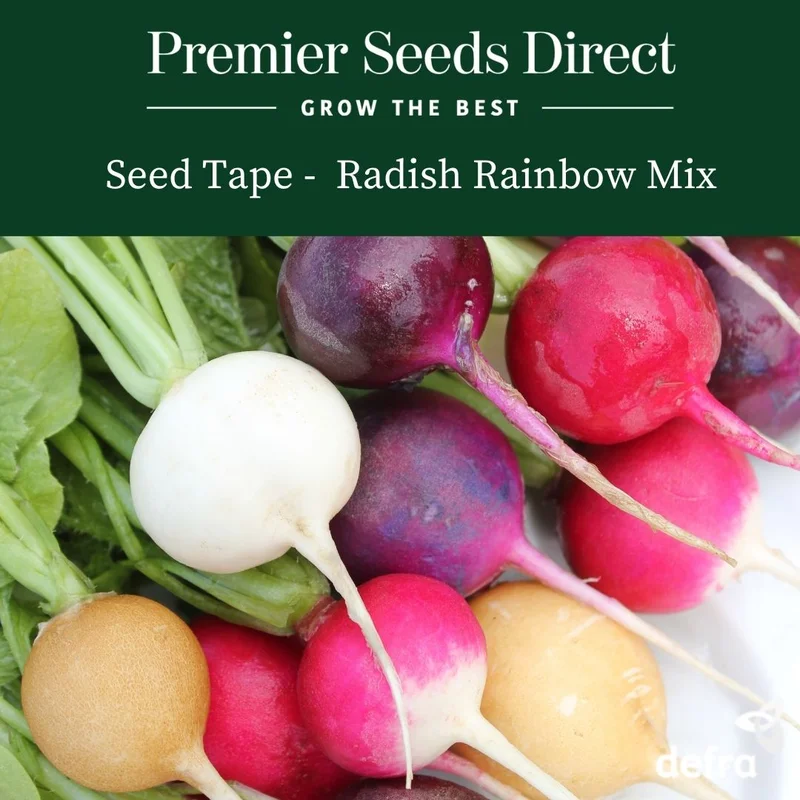 premierseedsdirect2934175