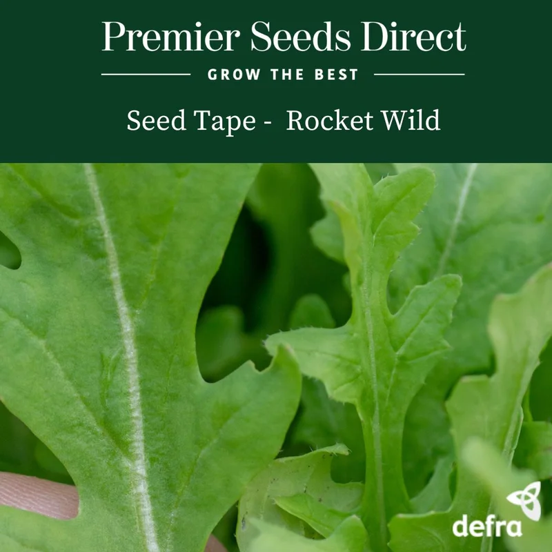 premierseedsdirect2937606