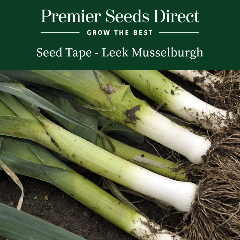 premierseedsdirect2940061