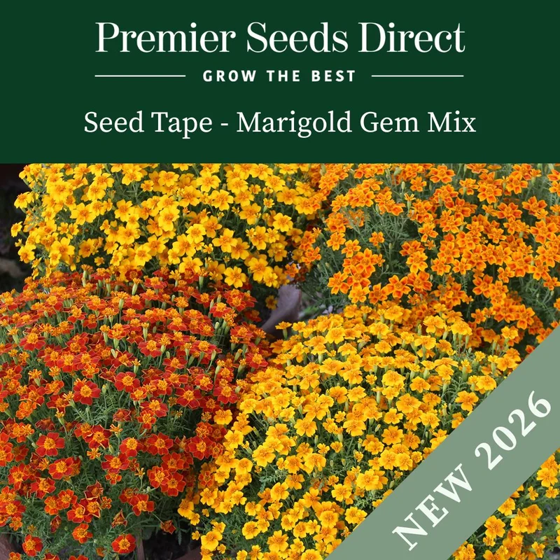 premierseedsdirect2940703