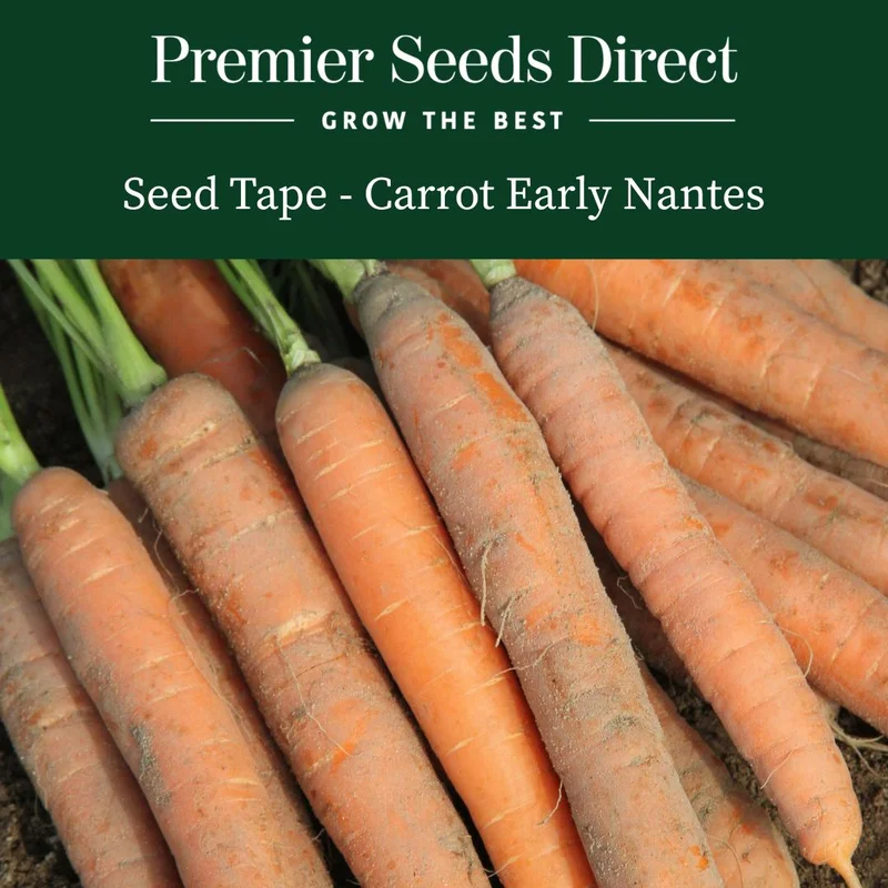 premierseedsdirect2942689