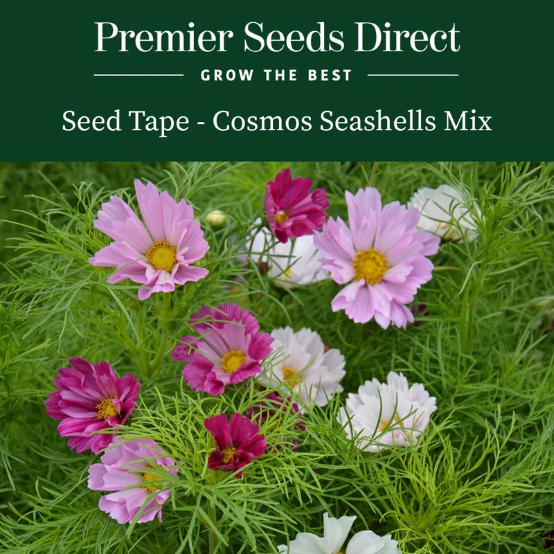 premierseedsdirect2946549