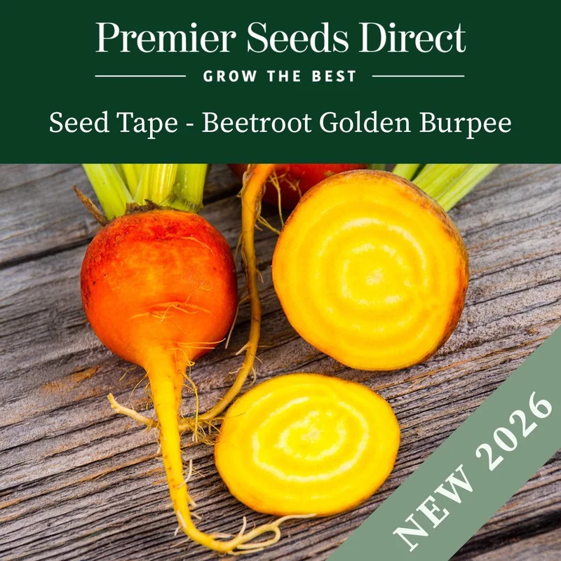 premierseedsdirect2948348