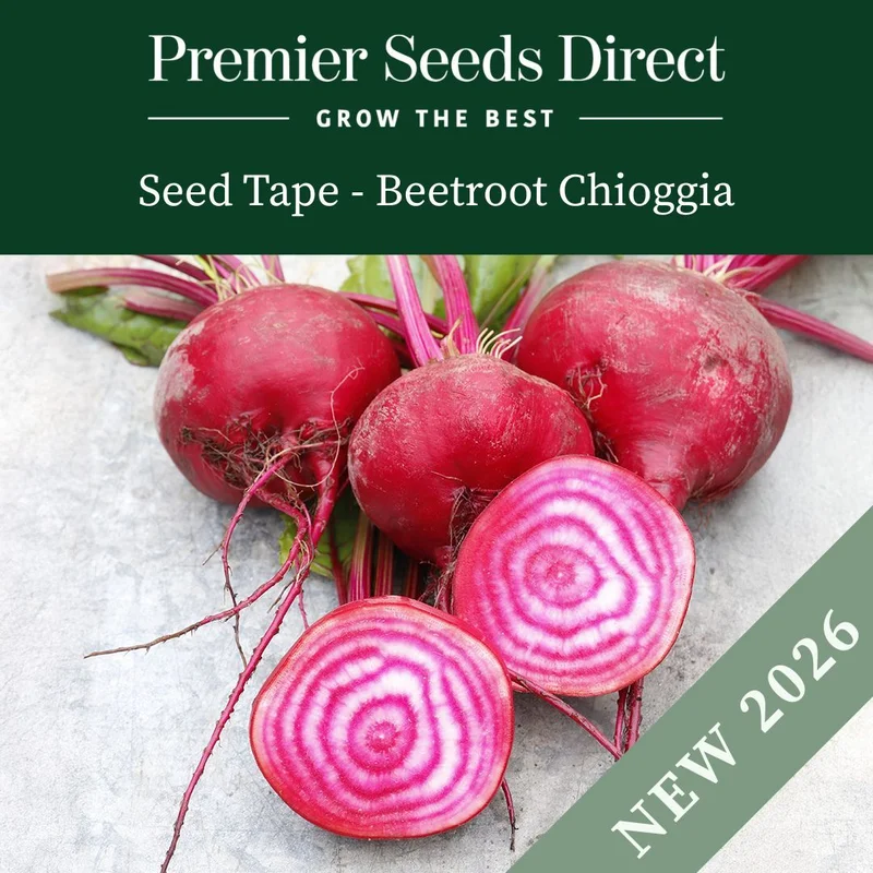 premierseedsdirect2948368