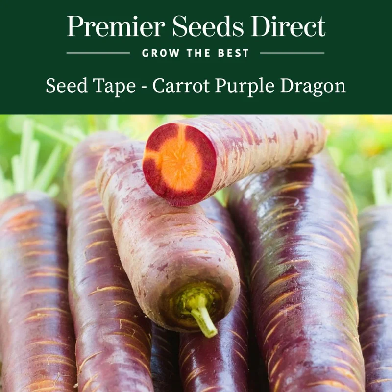 premierseedsdirect2951557