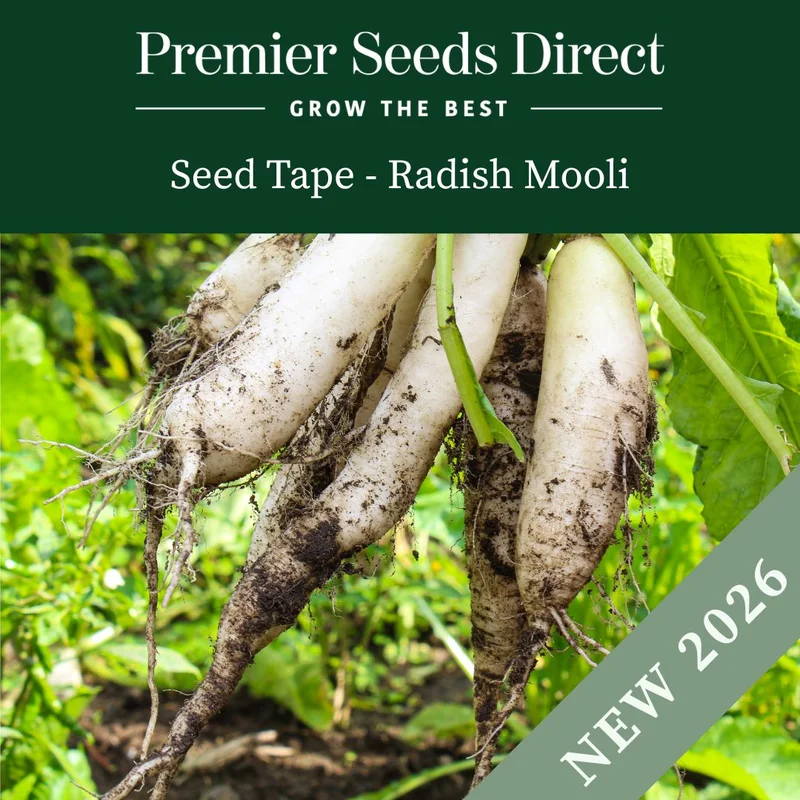 premierseedsdirect2952969