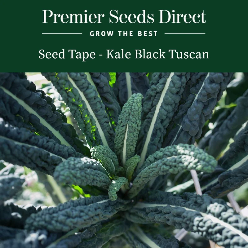 premierseedsdirect2954513