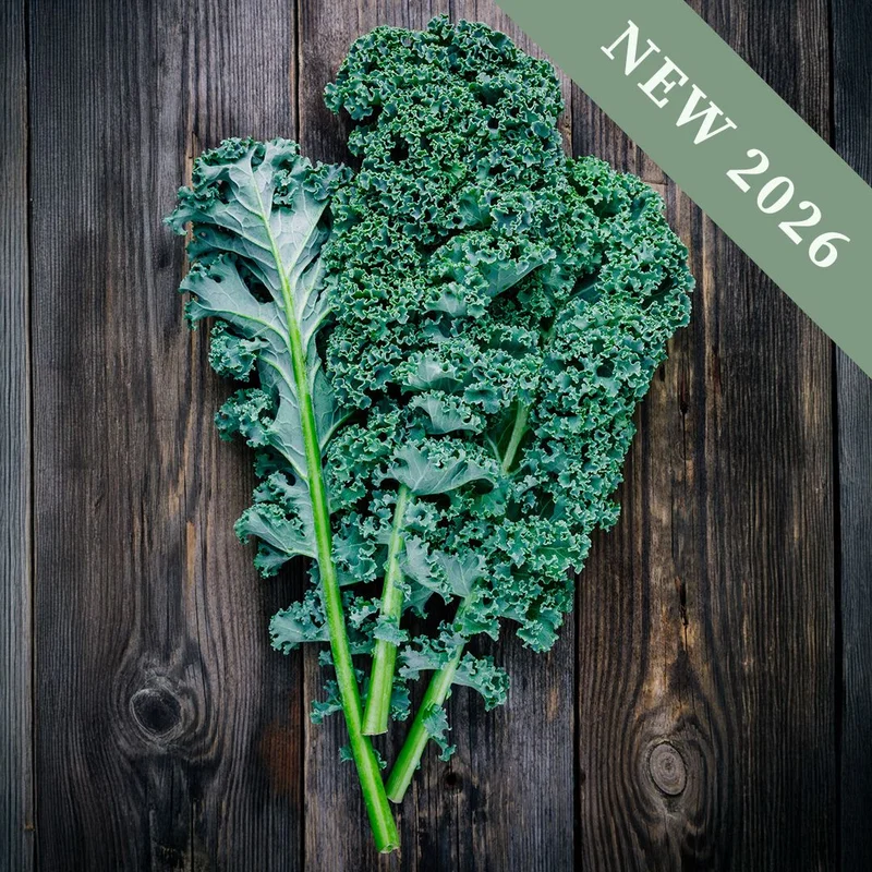 premierseedsdirect2957200
