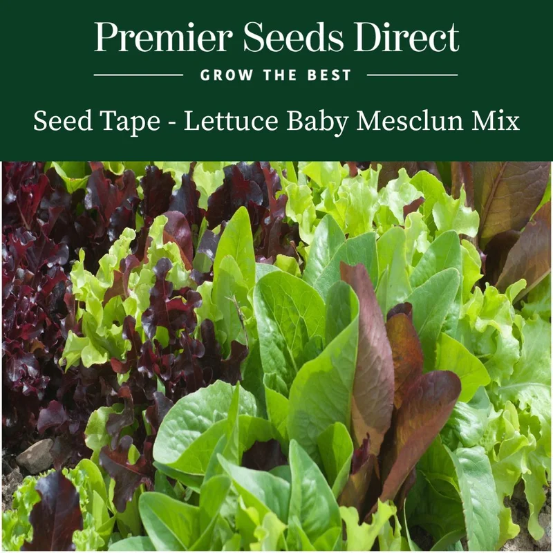 premierseedsdirect2961736