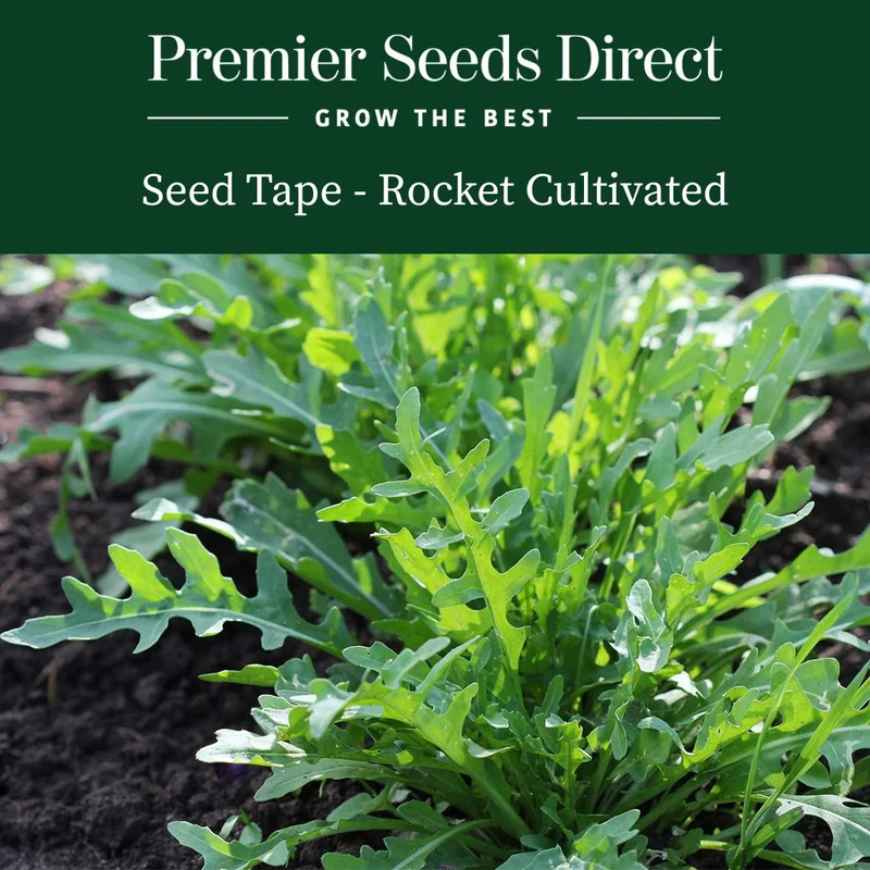 premierseedsdirect2961798