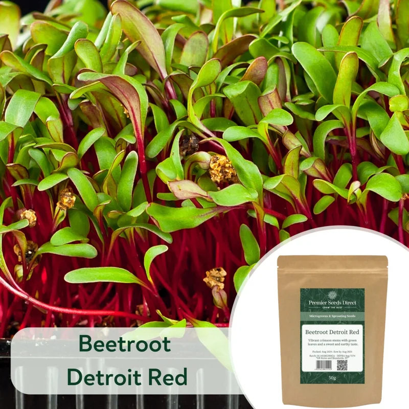 premierseedsdirect2963071
