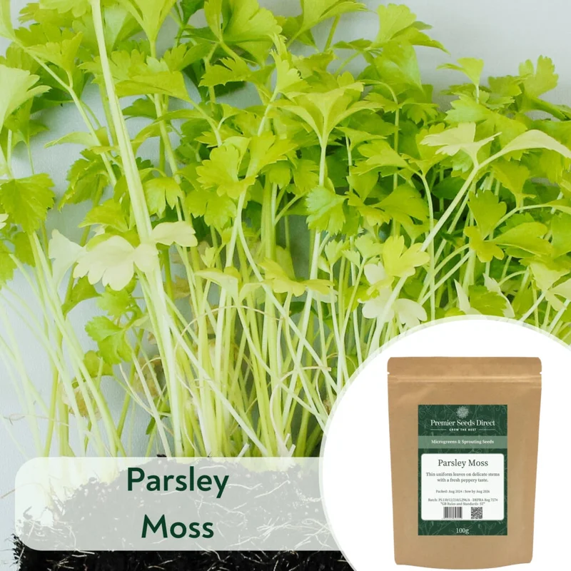 premierseedsdirect2963489