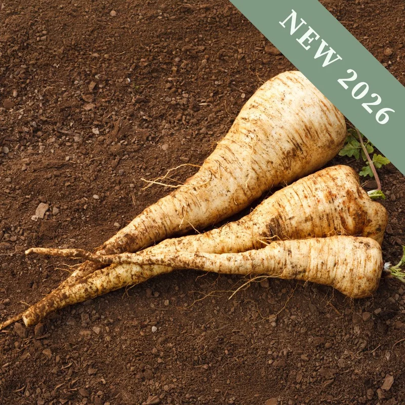 premierseedsdirect2964921