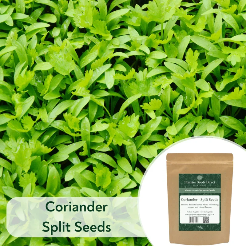 premierseedsdirect2966195